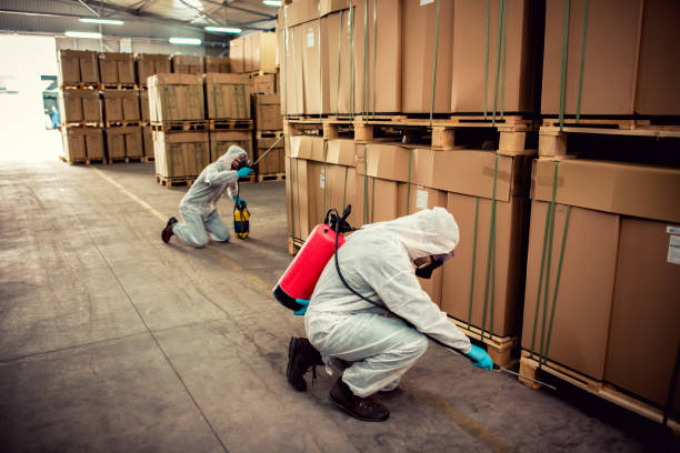 Best Emergency Pest Control  in Hawaiian Ocean View, HI