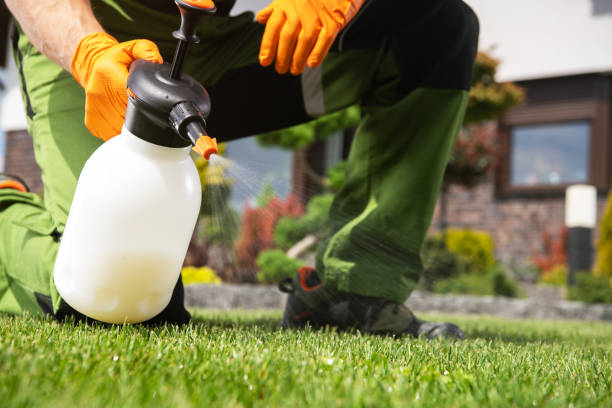 Best Affordable Pest Control Services  in Hawaiian Ocean View, HI
