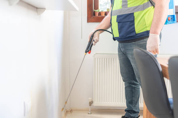 Best Wasp Removal Services  in Hawaiian Ocean View, HI