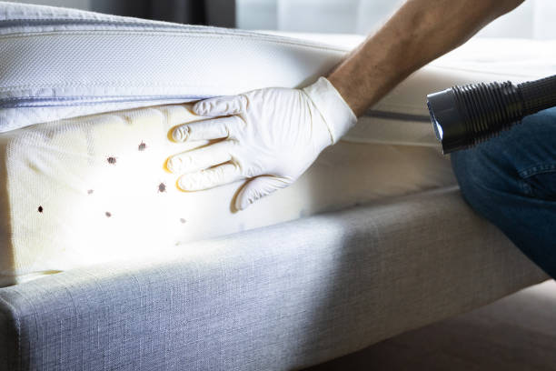 Best Affordable Pest Control Services  in Hawaiian Ocean View, HI