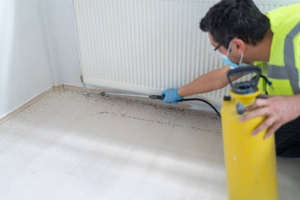 Best Mosquito Control Services  in Hawaiian Ocean View, HI