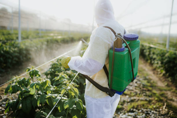 Best Emergency Pest Control  in Hawaiian Ocean View, HI